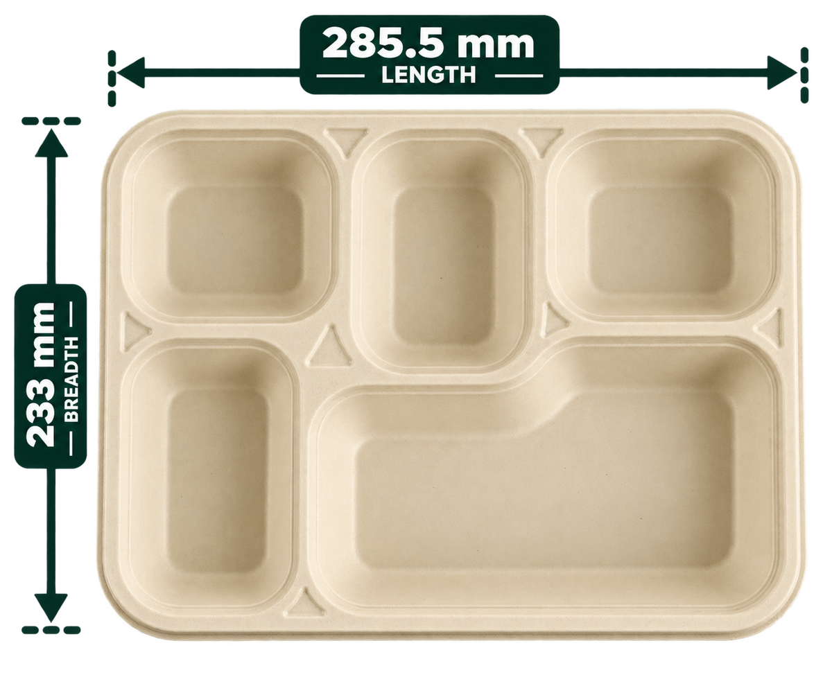 Premium bagasse meal tray 5 CP front view showing five compartments