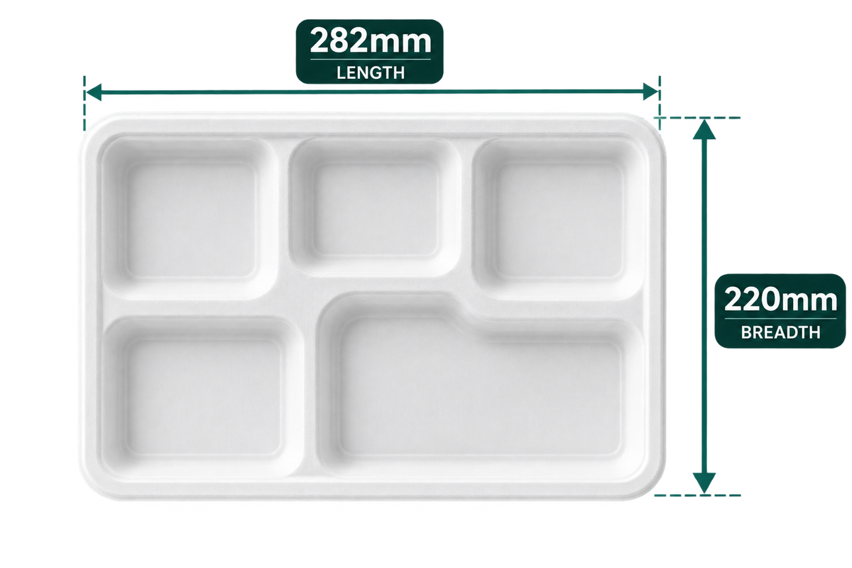 5-compartment white bagasse meal tray - top view