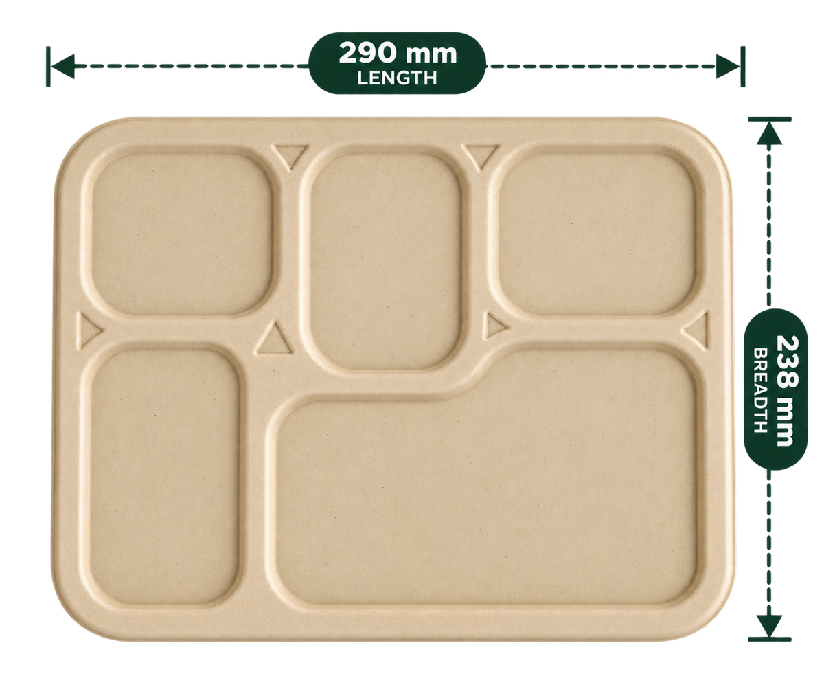 Brown bagasse lid for 5-compartment meal tray, 290 mm x 238 mm