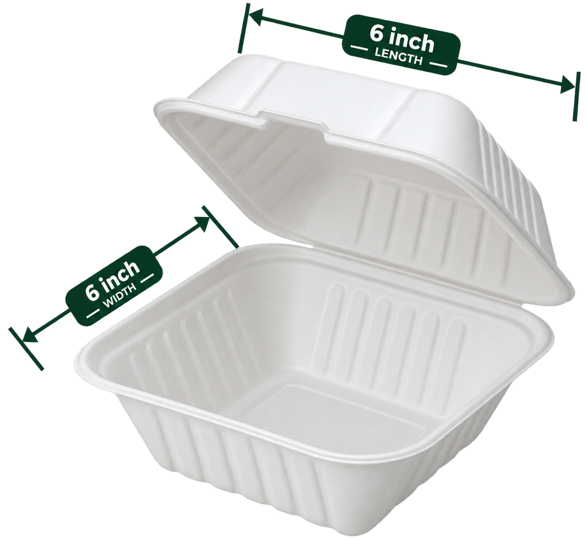 6 inch white bagasse square clamshell - top view