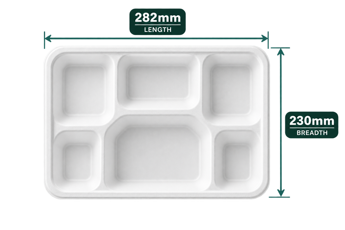 6-compartment white bagasse meal tray - top view