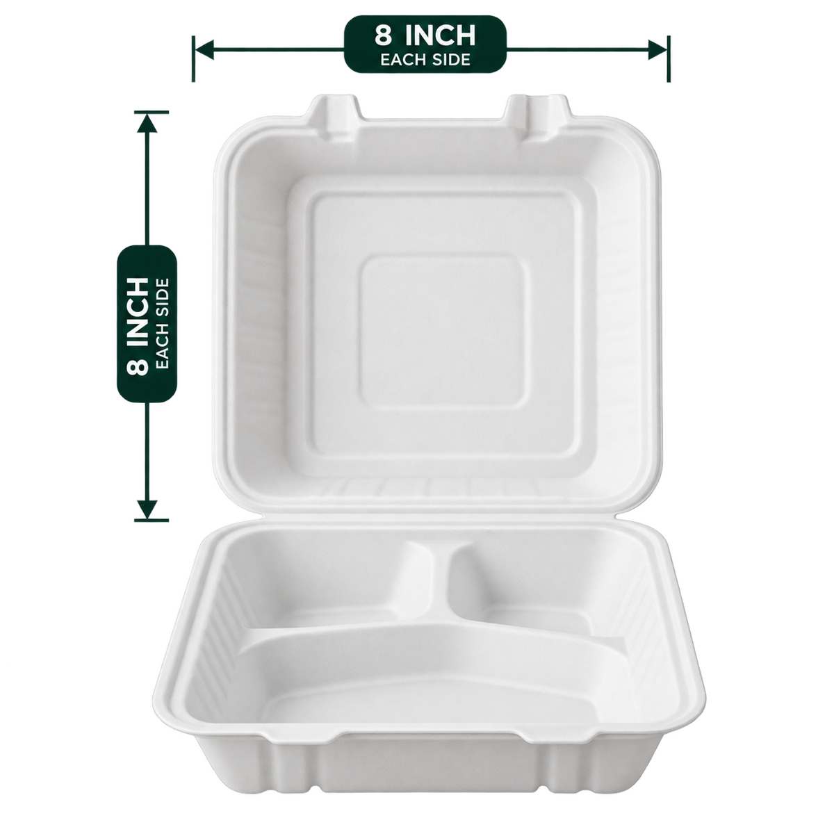 8 inch white bagasse 3-compartment clamshell - top view
