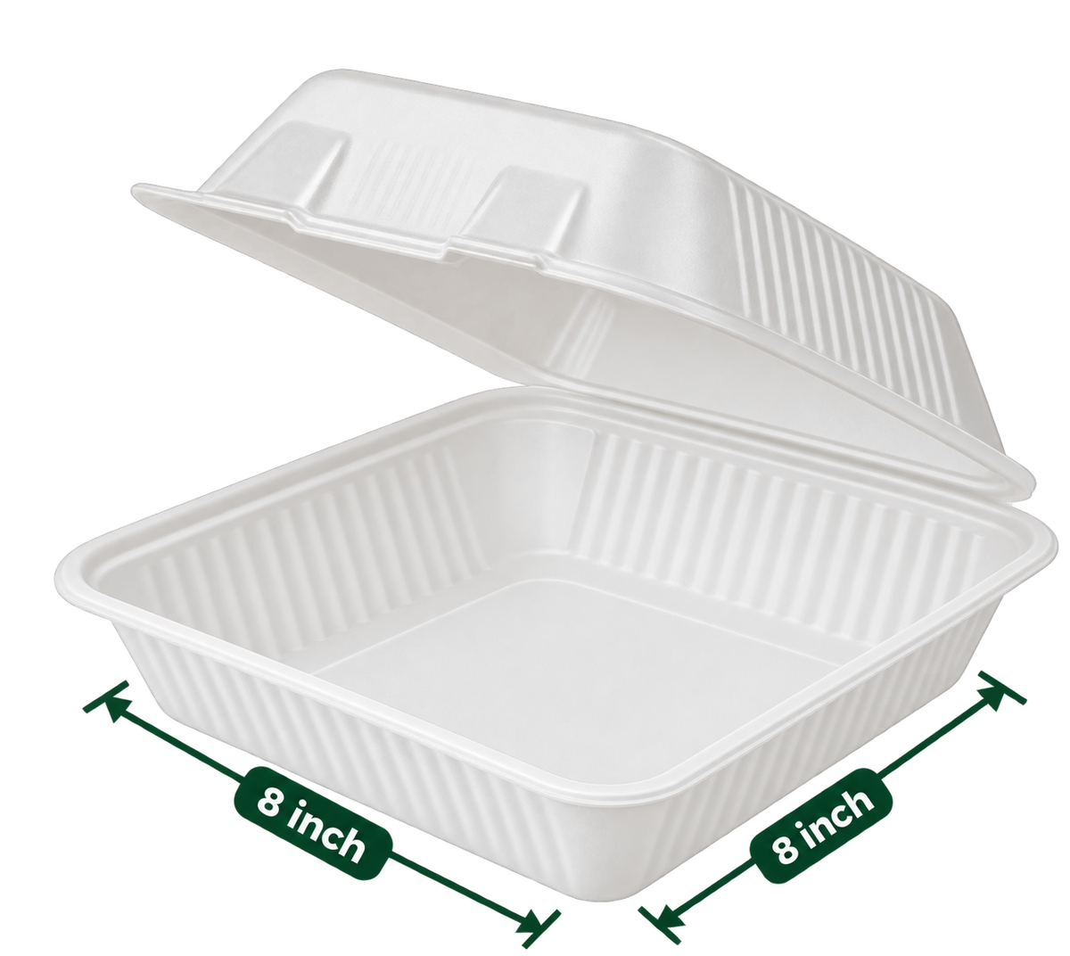 8 inch white bagasse square clamshell - top view