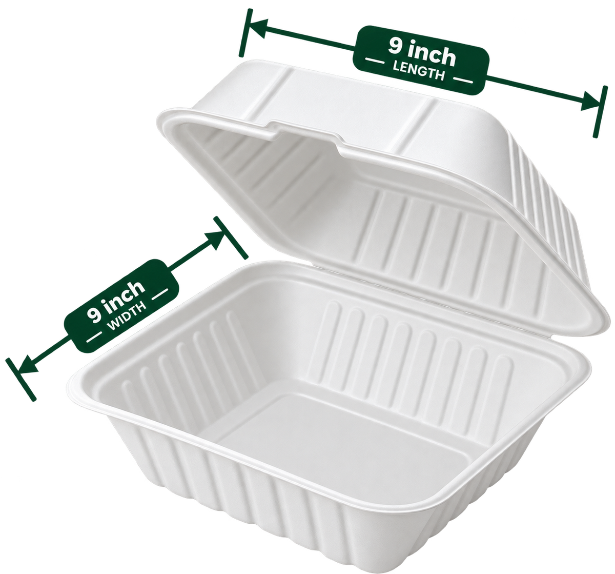 9 inch white bagasse square clamshell - top view