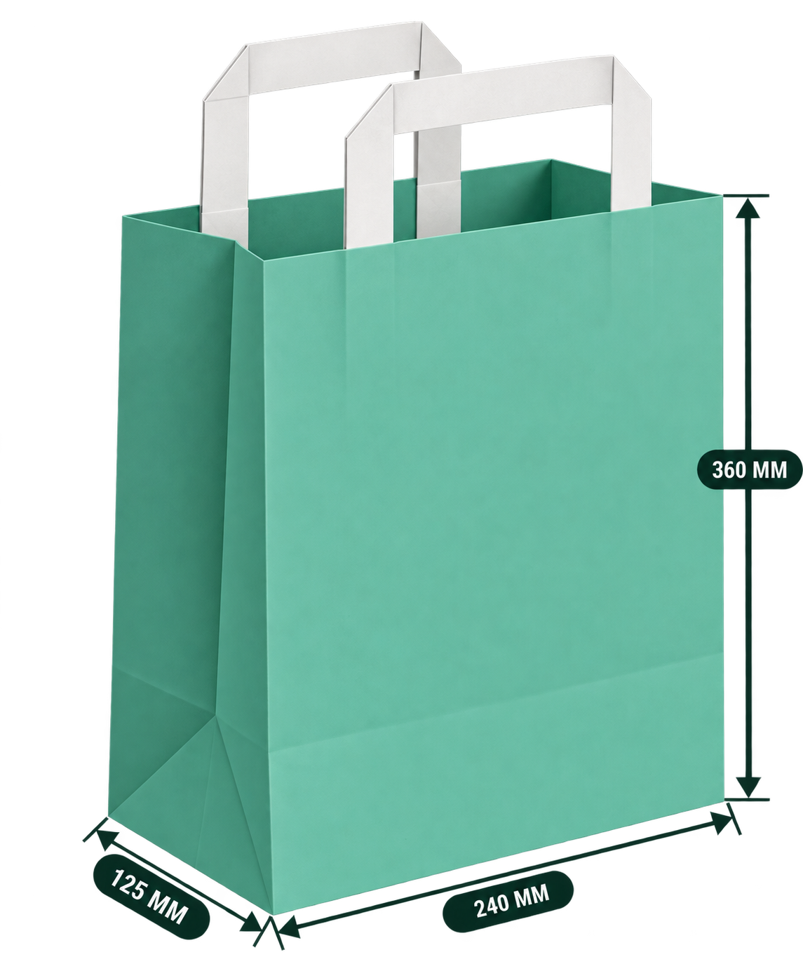 AnnServe Generic Printed Colour Handle Bag Sea Green; 240 x 125 x 360 mm width x gusset x body height; 100 GSM