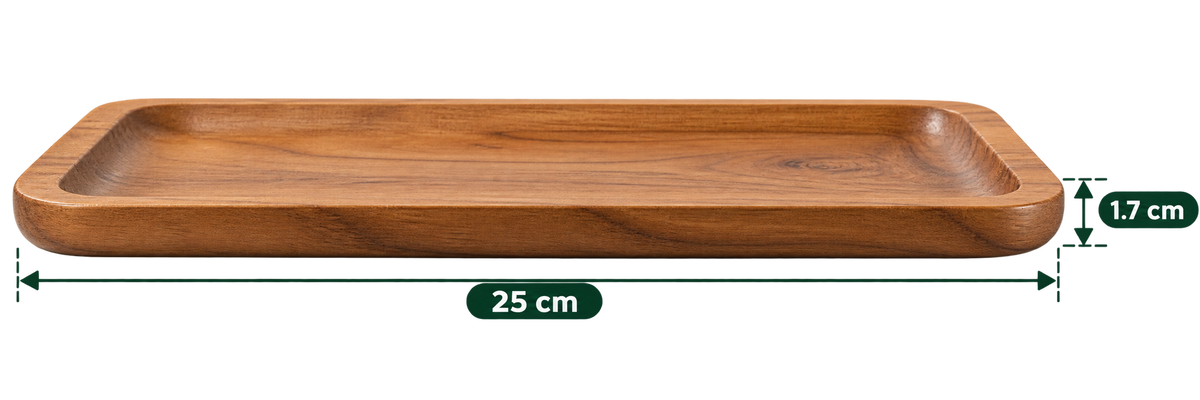 Platter 10 inch length side profile; photo labels 25 cm length and 1.7 cm height