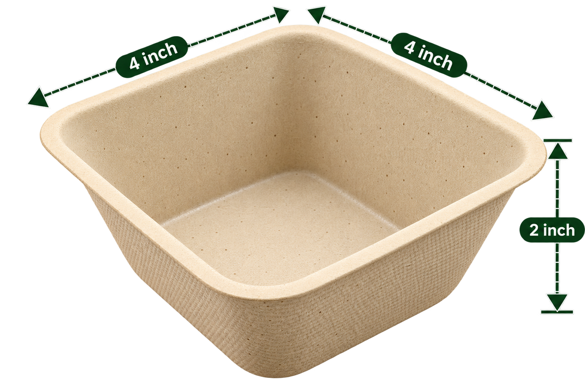 Empty brown premium bagasse Dona Square Bowl, 4 inch width and 2 inch height